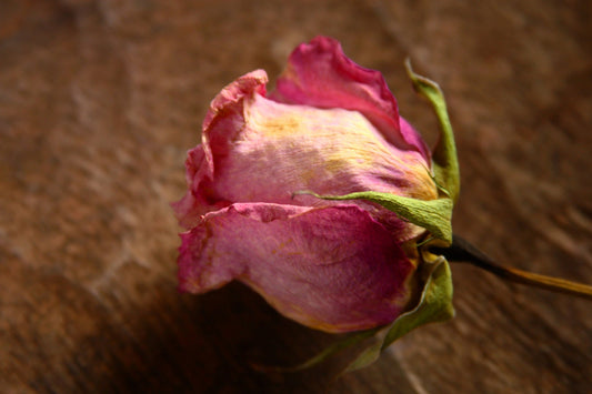 SANDALWOOD ROSE - Soft floral nuances of rose petals, pink peony and jasmine are deepened with patchouli and sandalwood.