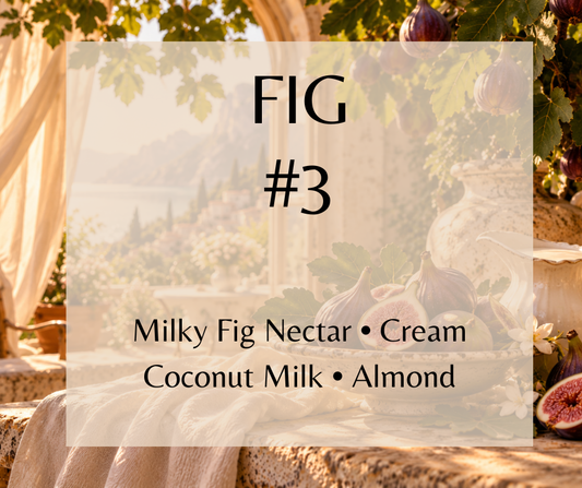 Milky fig nectar and fresh cream blend with coconut milk, white almond, jasmine, creamy sandalwood and soft musk for a mellow, comforting gourmand.   Available in Perfume Oil, Body Spray, Body Oil & Lotion