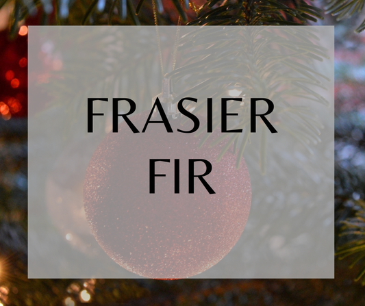 Frasier Fir