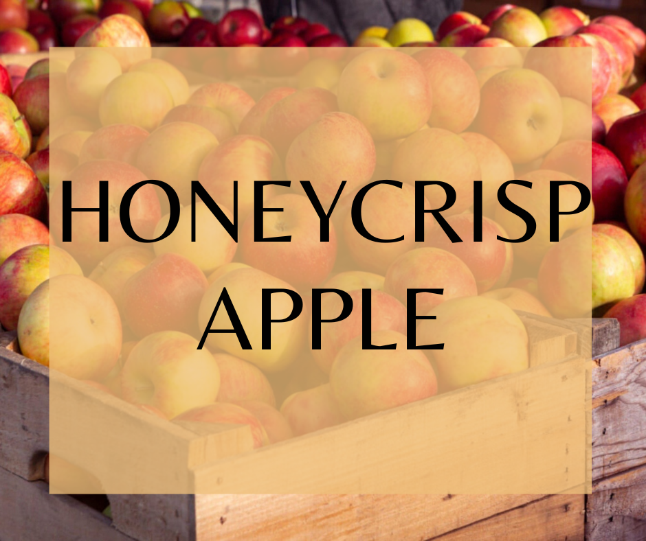 Honeycrisp Apple