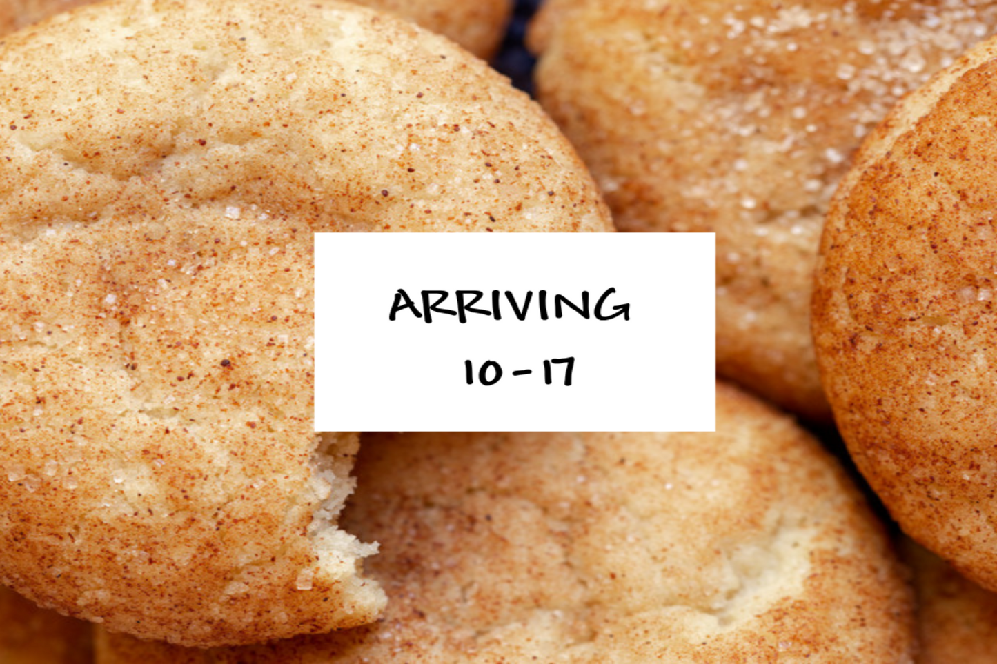 Sugared Snickerdoodle