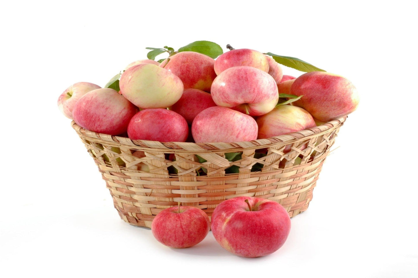 Fuji Apple