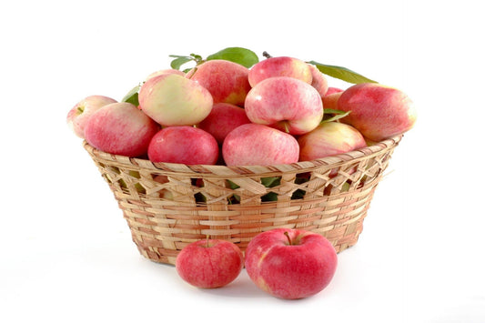 Fuji Apple