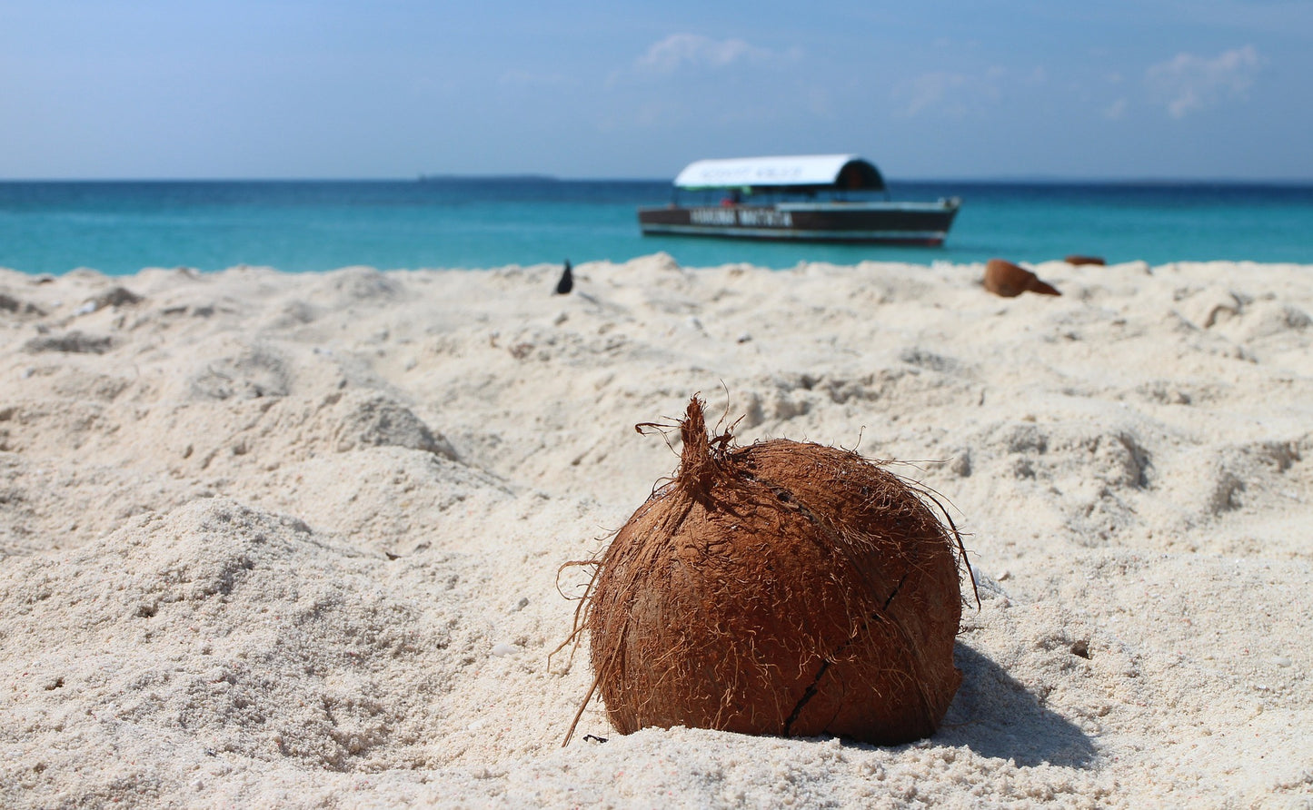 ARUBA COCONUT - A fresh tropical vacation combining citrus and vanilla notes with the main component of sweet and rich coconut creating this floral burst of the islands.