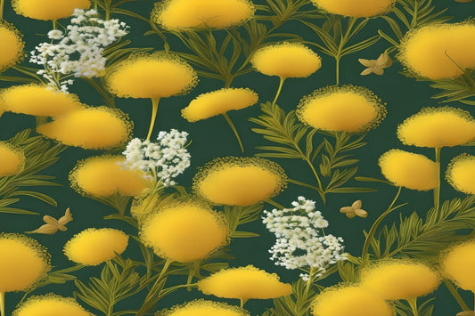 Golden Mimosa - Inspired by Jo Malone MIMOSA & CARDAMOM