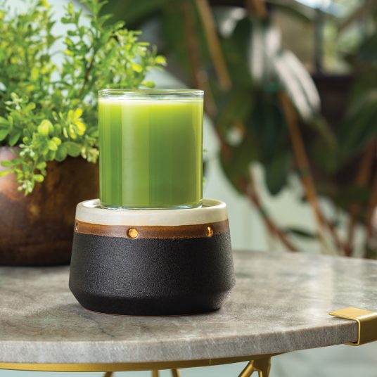 Ironstone 2 in 1 Deluxe Wax Melt & Candle Warmer