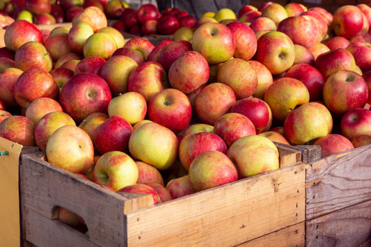 Honeycrisp Apple